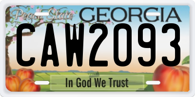 GA license plate CAW2093
