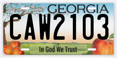 GA license plate CAW2103