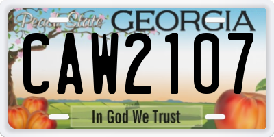 GA license plate CAW2107