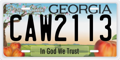 GA license plate CAW2113