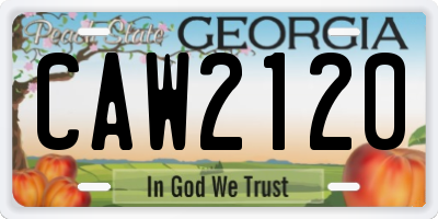 GA license plate CAW2120