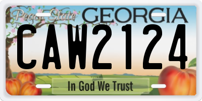 GA license plate CAW2124