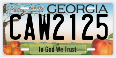 GA license plate CAW2125