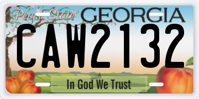 GA license plate CAW2132