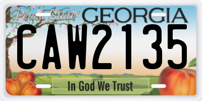 GA license plate CAW2135