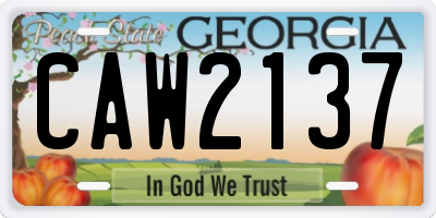 GA license plate CAW2137