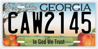 GA license plate CAW2145