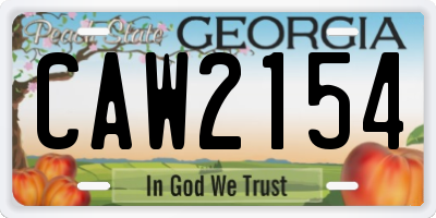 GA license plate CAW2154