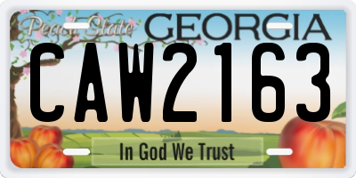 GA license plate CAW2163