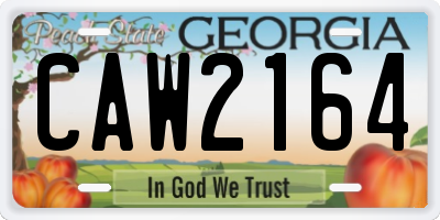 GA license plate CAW2164
