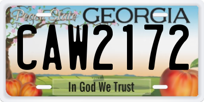 GA license plate CAW2172