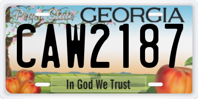 GA license plate CAW2187