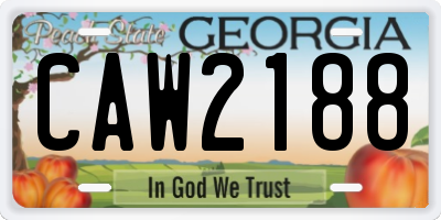GA license plate CAW2188