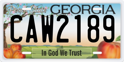 GA license plate CAW2189