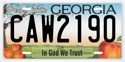 GA license plate CAW2190