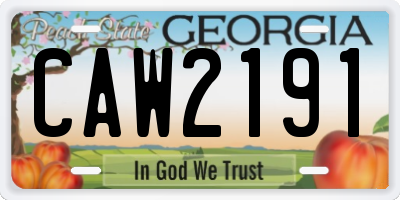 GA license plate CAW2191
