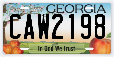 GA license plate CAW2198