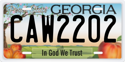 GA license plate CAW2202