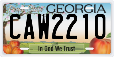 GA license plate CAW2210