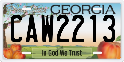 GA license plate CAW2213