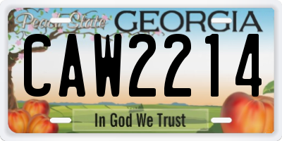 GA license plate CAW2214
