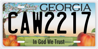 GA license plate CAW2217