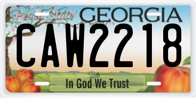 GA license plate CAW2218