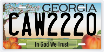 GA license plate CAW2220