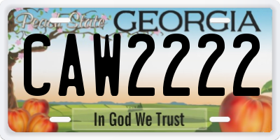 GA license plate CAW2222