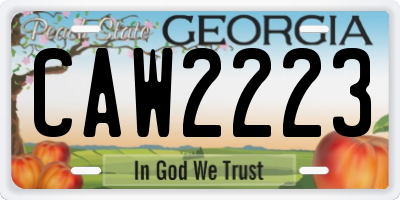 GA license plate CAW2223