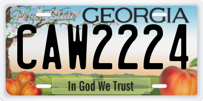 GA license plate CAW2224