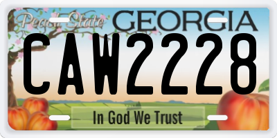 GA license plate CAW2228