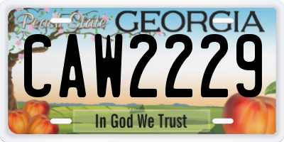 GA license plate CAW2229