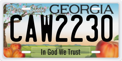 GA license plate CAW2230