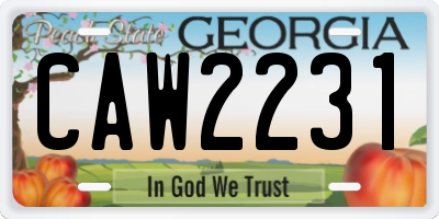 GA license plate CAW2231
