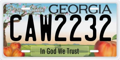 GA license plate CAW2232