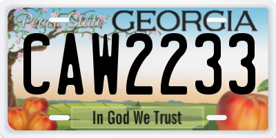 GA license plate CAW2233