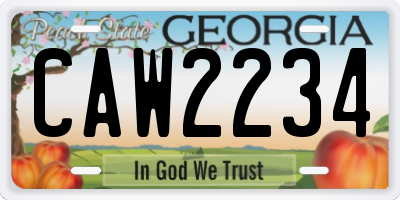 GA license plate CAW2234