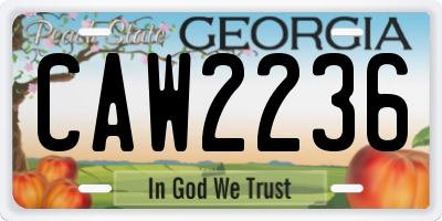 GA license plate CAW2236