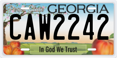GA license plate CAW2242