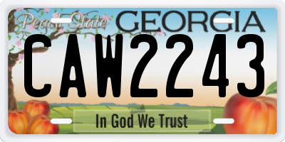 GA license plate CAW2243