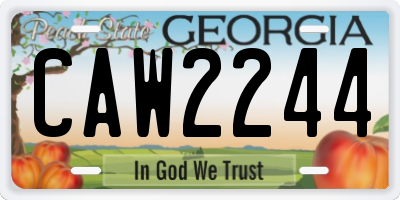 GA license plate CAW2244