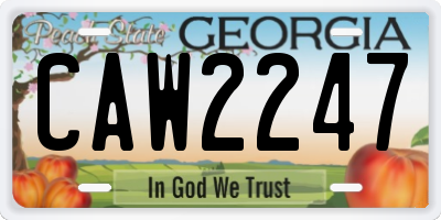 GA license plate CAW2247