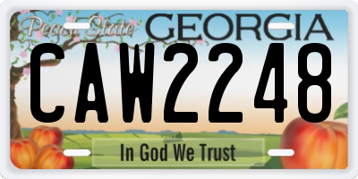 GA license plate CAW2248