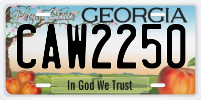 GA license plate CAW2250