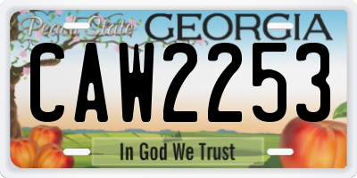 GA license plate CAW2253