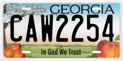 GA license plate CAW2254