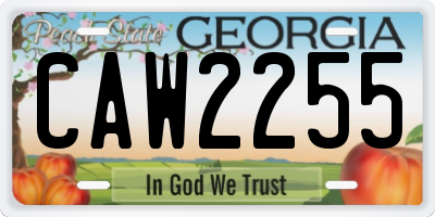 GA license plate CAW2255