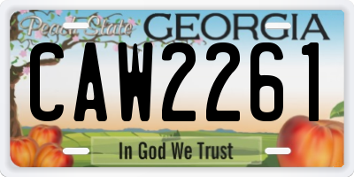 GA license plate CAW2261
