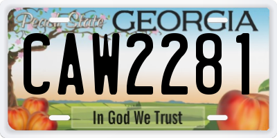 GA license plate CAW2281